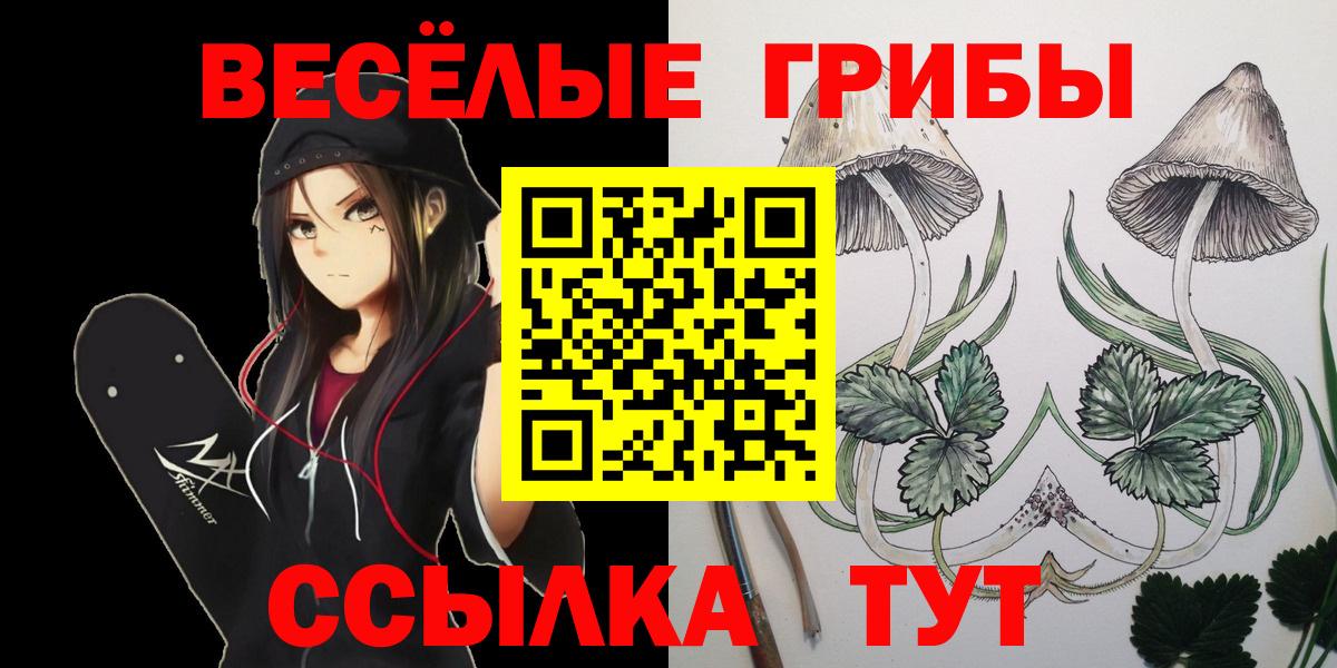 Пыть-Ях  Галлюциногенные грибы Cubensis  Вход с VPN 